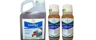 &#39;Basic version of the insecticide &quot;Confidor&quot;