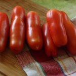 'Чем вас приятно удивит необычный на вид томат "Жигало": отзывы, фото и описание агротехники' width="700