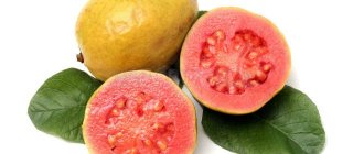 Что из себя представляет фрукт гуава?