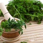 For long-term storage, use fresh cilantro with dense, whole leaves and a rich, spicy aroma and flavor.