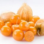 Physalis: description of species and varieties, technology of growing from seeds