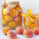 Фото персиков в сиропе на зиму