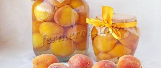 Photo of peaches in syrup for the winter