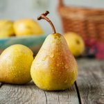 Baltic oily pear variety