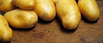 Characteristics of the Fairy Tale potato