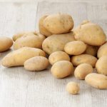 Characteristics of potatoes of the Krona variety