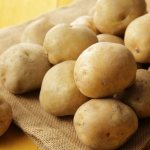 Characteristics of Lileya potato variety