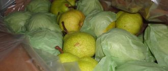 Storing Packham pears