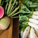How and when to plant daikon seeds in open ground