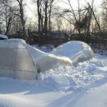 How and why to prepare a polycarbonate greenhouse for winter