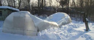 How and why to prepare a polycarbonate greenhouse for winter