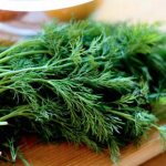 how to distinguish dill from fennel