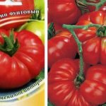'Как правильно выращивать и куда применять томат "Розамарин фунтовый"' width="600