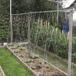 How to make a trellis with your own hands
