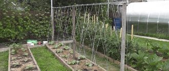 How to make a trellis with your own hands
