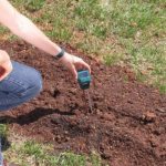 how to find out soil acidity