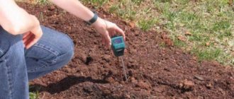 как узнать кислотность почвы