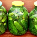 How to deliciously pickle large cucumbers: 6 best recipes