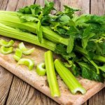 How to grow petiole celery from seeds