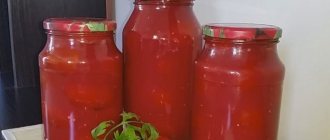 How to prepare tomatoes in tomato sauce for the winter according to a step-by-step recipe with photos