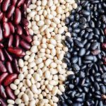 Which beans are healthier, white or red?