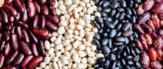 Which beans are healthier, white or red?