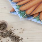 Какие бывают семена моркови, как их правильно выбирать, сажать и выращивать самостоятельно