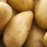 Potato Gulliver: variety characteristics, yield, reviews