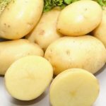 картофель каратоп