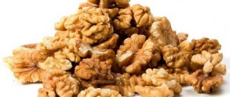 when to collect walnuts