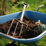 Compost as fertilizer for trees