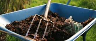 Compost as fertilizer for trees