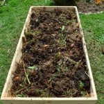 compost bed