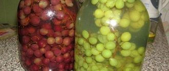 grape compote for the winter