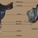 Horse saddle design