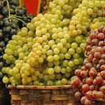 Лучшие сорта винограда на рынке