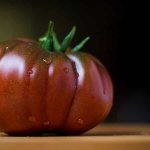 &#39;Mikado tomato, beloved by summer residents