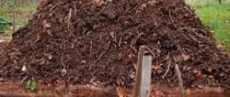Should I close my compost pile for the winter?