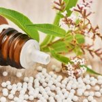 folk remedies for plant protection