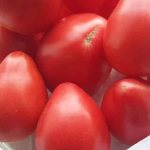 &#39;A new variety, but one that has already become a favorite among farmers - the Sugar Nastasya tomato&#39; width=&quot;800