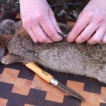Rabbit slaughter knife