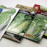 packets of seeds