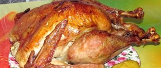 baked turkey carcass
