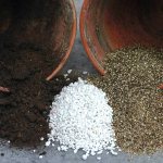 Perlite and vermiculite for plants