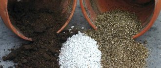 Perlite and vermiculite for plants