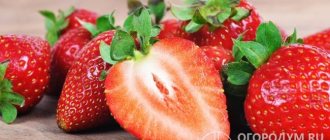 По сравнению с «Альбионом», ягоды сорта «Монтерей» имеют более крупные размеры и нежную (не хрустящую) текстуру мякоти