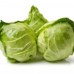 Why is cabbage bitter and what to do about it?