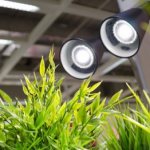 подсветка для растений комнатных