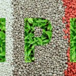 benefits of phosphate fertilizers
