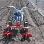 planting potatoes with a walk-behind tractor